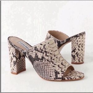 Steve Madden Women's Snakeskin Mules